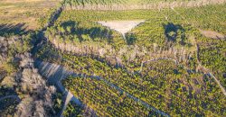 Dodge County Sanctuary