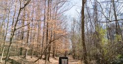 Beechwood Flint River Farm