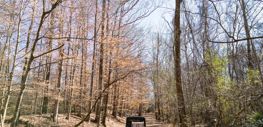 Beechwood Flint River Farm