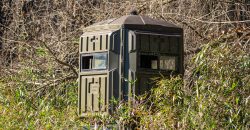 Beechwood Flint River Farm