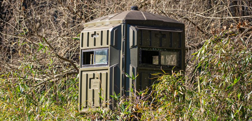 Beechwood Flint River Farm