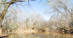 Beechwood Flint River Farm