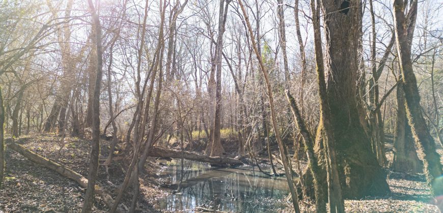Beechwood Flint River Farm