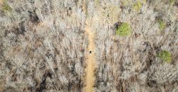 Beechwood Flint River Farm