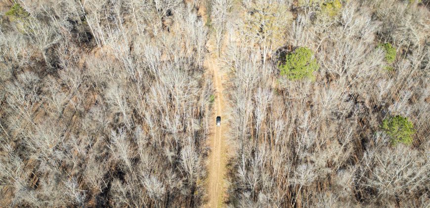 Beechwood Flint River Farm