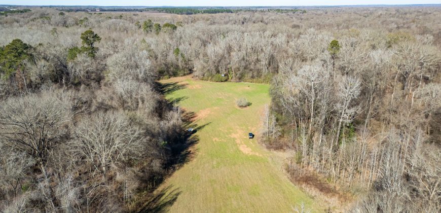 Beechwood Flint River Farm