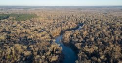 Beechwood Flint River Farm