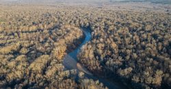 Beechwood Flint River Farm