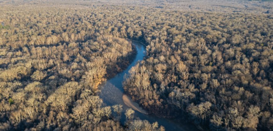Beechwood Flint River Farm