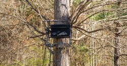 Beechwood Flint River Farm