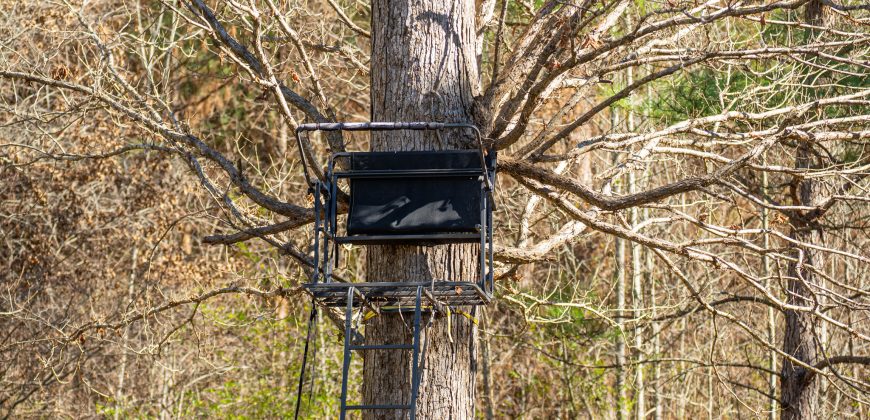 Beechwood Flint River Farm