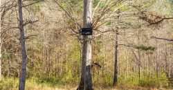 Beechwood Flint River Farm