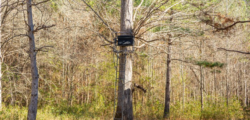 Beechwood Flint River Farm
