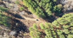 Beechwood Flint River Farm