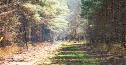 Beechwood Flint River Farm