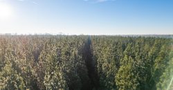 Beechwood Flint River Farm