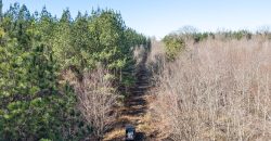 Beechwood Flint River Farm