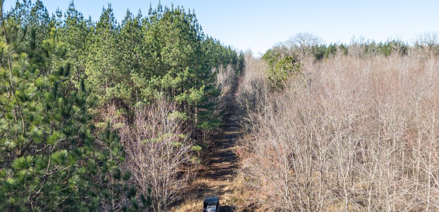 Beechwood Flint River Farm