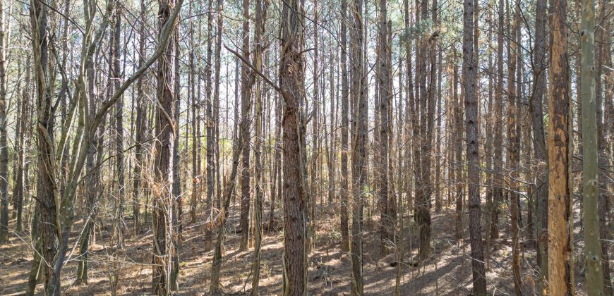 Beechwood Flint River Farm