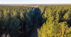 Beechwood Flint River Farm