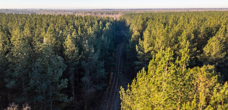 Beechwood Flint River Farm