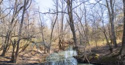 Beechwood Flint River Farm