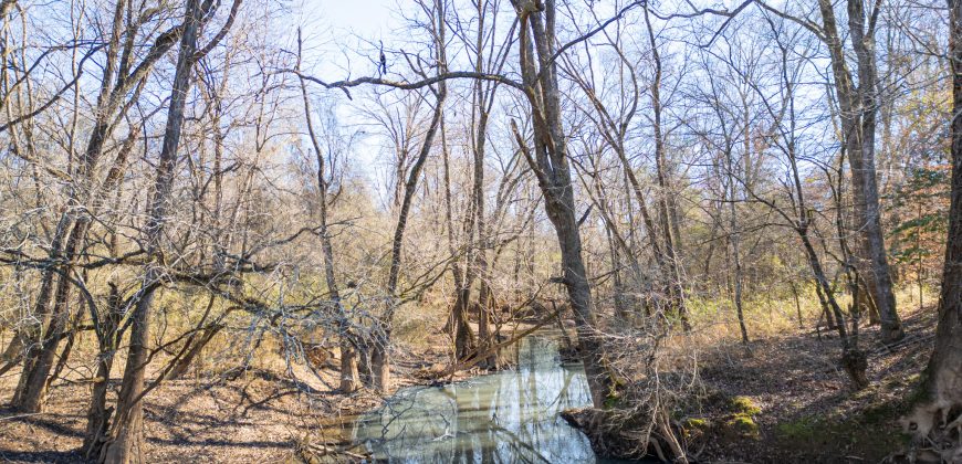Beechwood Flint River Farm