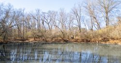 Beechwood Flint River Farm