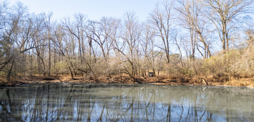 Beechwood Flint River Farm