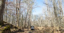 Beechwood Flint River Farm