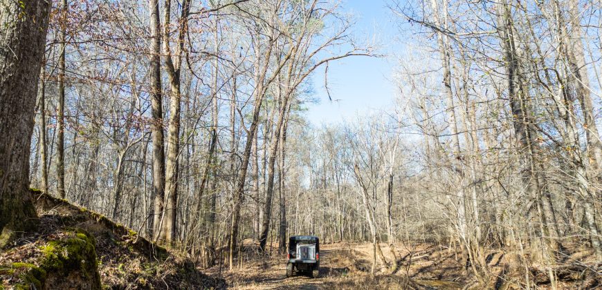 Beechwood Flint River Farm
