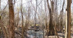 Beechwood Flint River Farm