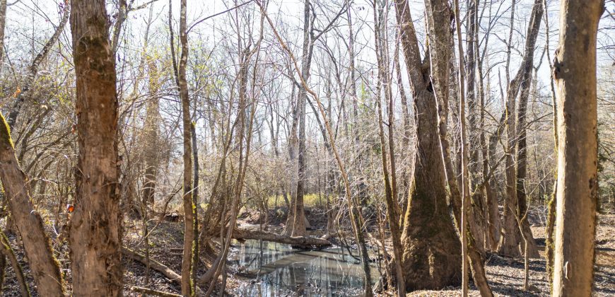 Beechwood Flint River Farm