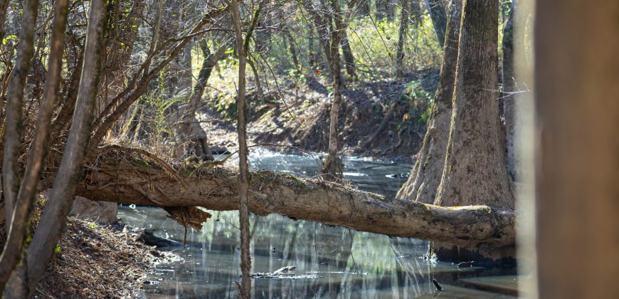 Beechwood Flint River Farm