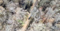 Beechwood Flint River Farm