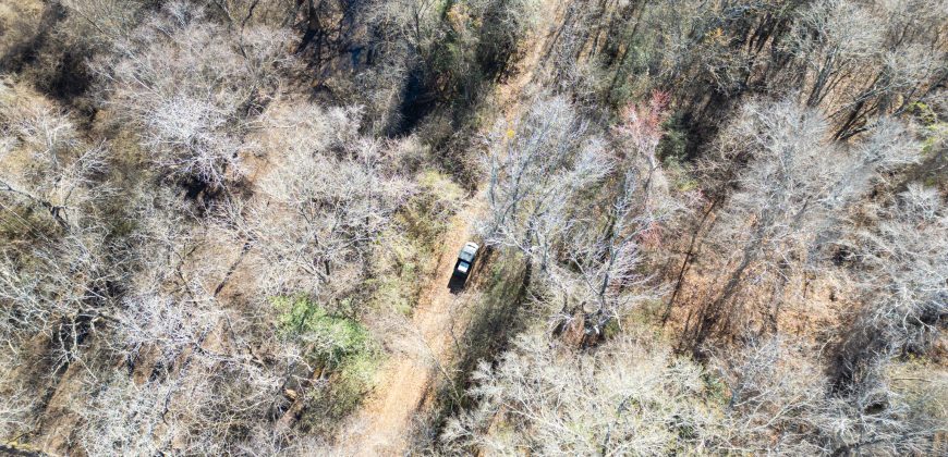 Beechwood Flint River Farm