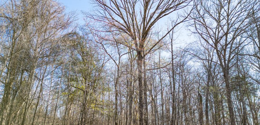 Beechwood Flint River Farm
