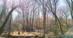 Beechwood Flint River Farm