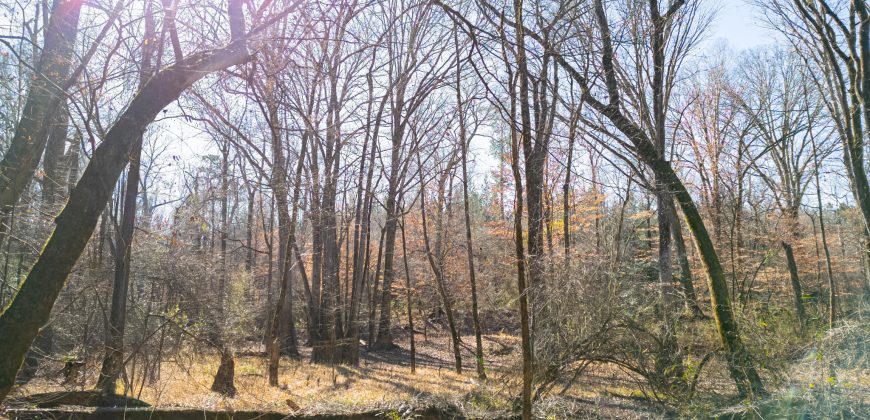 Beechwood Flint River Farm