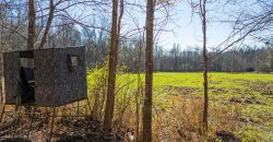 Beechwood Flint River Farm