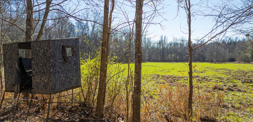 Beechwood Flint River Farm