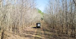 Beechwood Flint River Farm