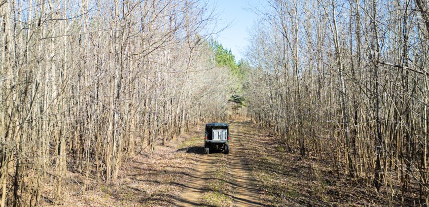 Beechwood Flint River Farm