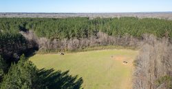Beechwood Flint River Farm