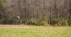 Beechwood Flint River Farm