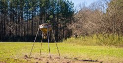 Beechwood Flint River Farm
