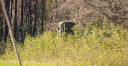 Beechwood Flint River Farm