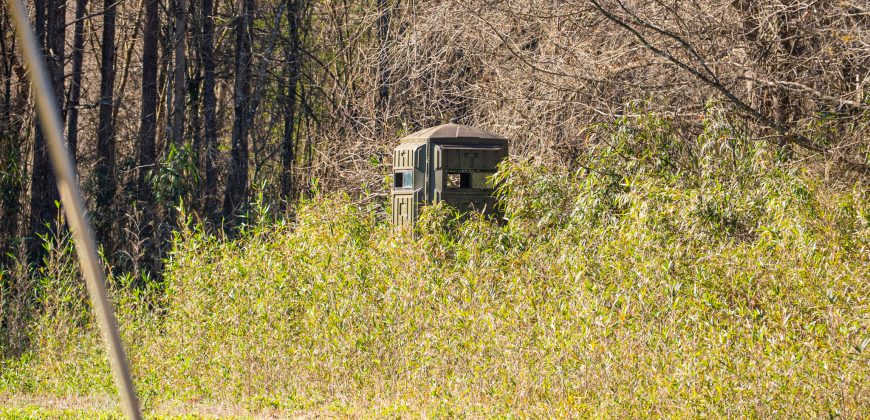 Beechwood Flint River Farm
