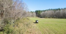 Beechwood Flint River Farm