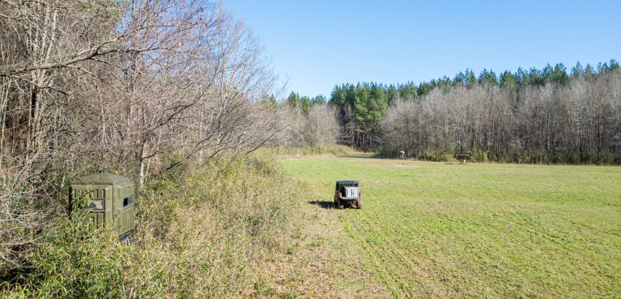 Beechwood Flint River Farm